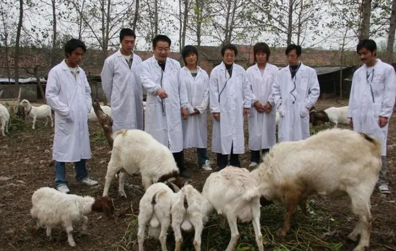 湖南动物疾病防治员培训兽医资格证书